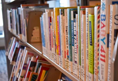 Library Collection Books on Shelf