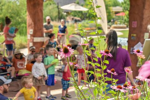 Focused view of purple coneflower with children and adults engaged in storytime in the background