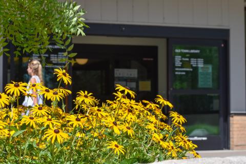 Yellow cone flowers grow outside Old Town Library