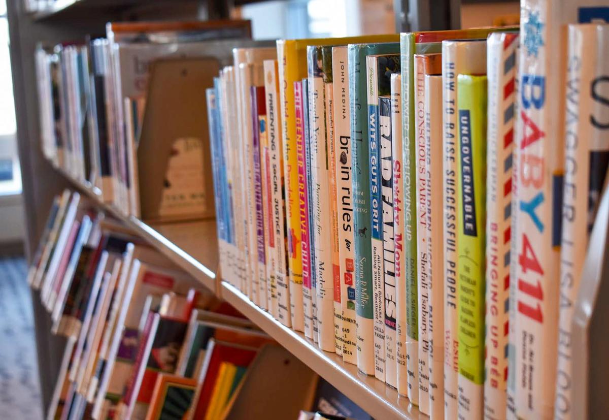 Library Collection Books on Shelf